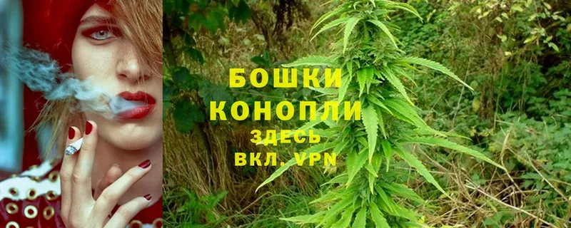 Бошки Шишки White Widow  Электроугли 